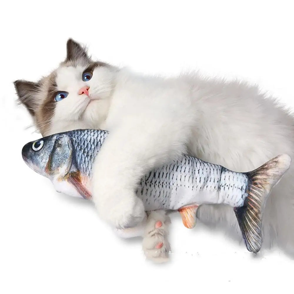 Dancing Fish Cat Toy