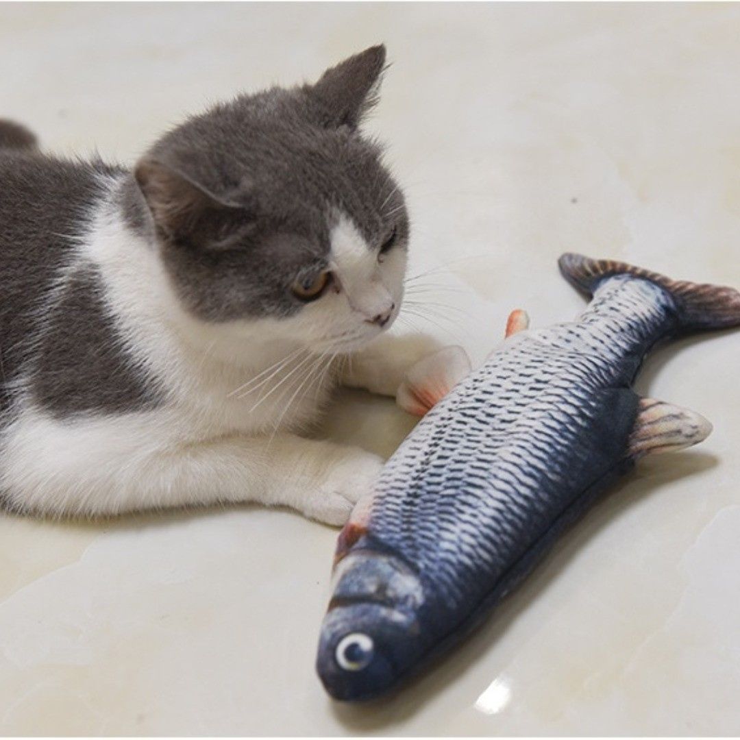 Dancing Fish Cat Toy