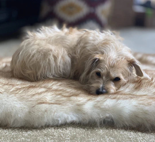 Orthopedic Calming Faux Fur Bed