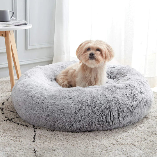 Relaxed Dog Bed