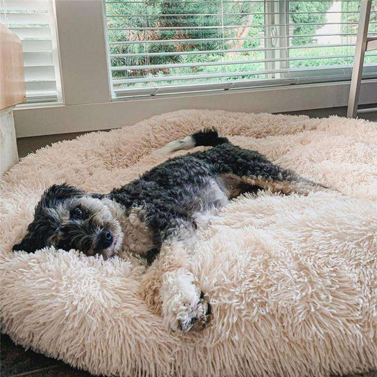 Relaxed Dog Bed