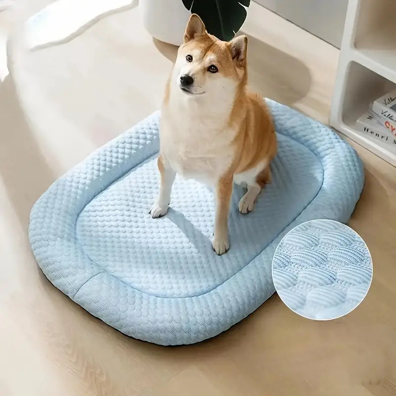 Cooling Dog Bed