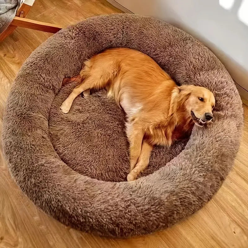 Relaxed Dog Bed